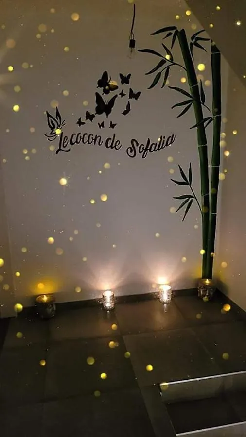 Le cocon de sofalia Courcelles 0*,  Bélgica
