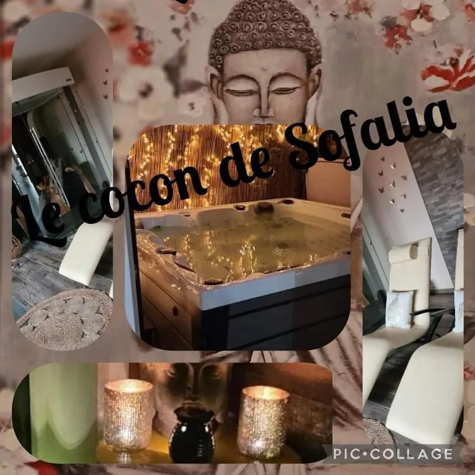 Le cocon de sofalia Courcelles 0*,